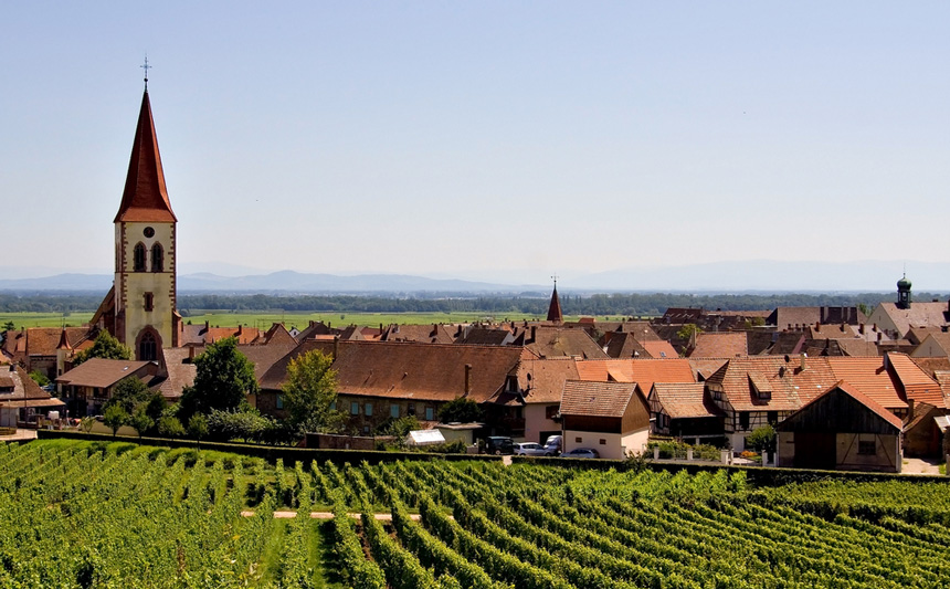 Alsace-winery.jpg